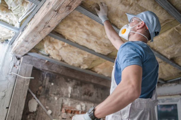 Professional Insulation Installation & Removal in Covington, KY